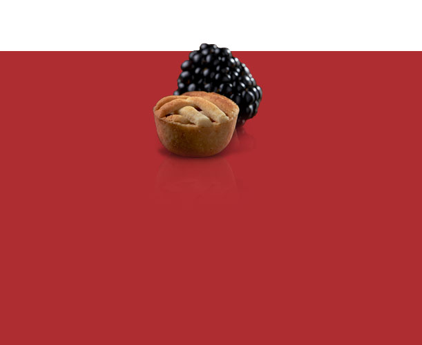 mini bites